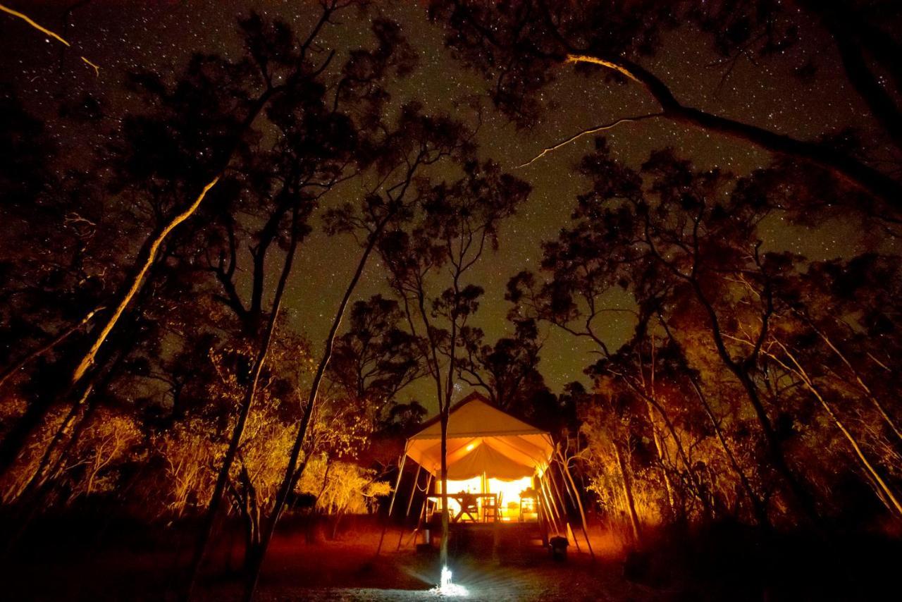 Biboohra Wild Nature Lodge, Mareeba Wetlands מראה חיצוני תמונה
