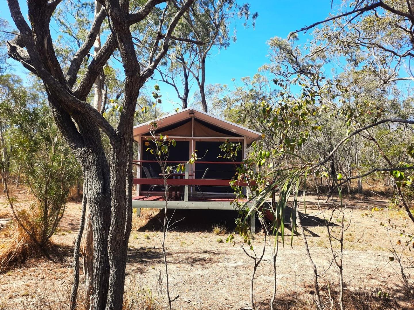 Biboohra Wild Nature Lodge, Mareeba Wetlands מראה חיצוני תמונה