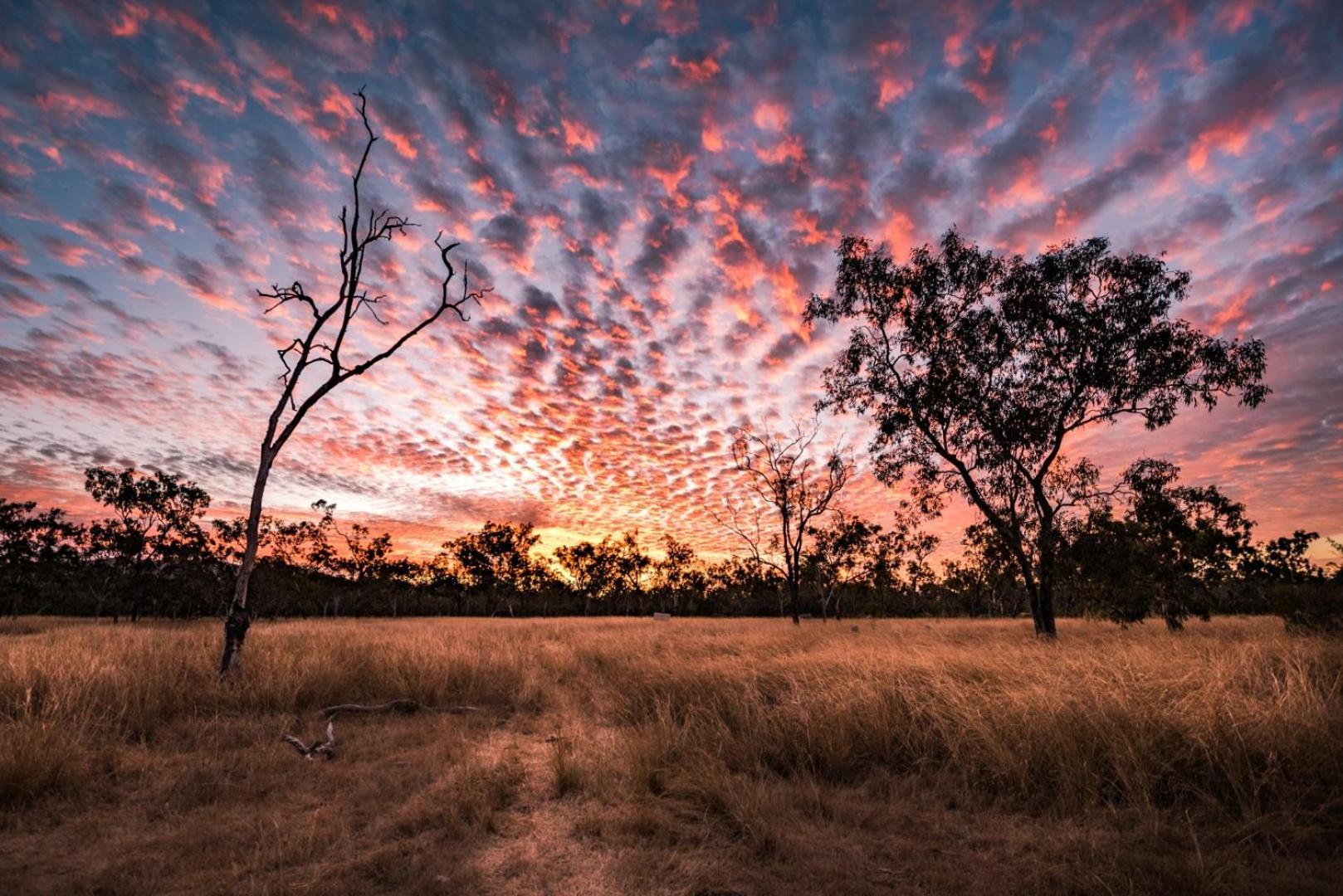 Biboohra Wild Nature Lodge, Mareeba Wetlands מראה חיצוני תמונה
